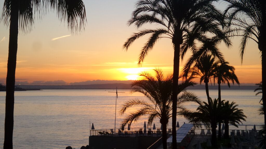 Lletas in Palma De Mallorca | Travel