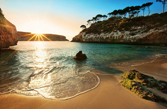 5 reasons to visit Mallorca!