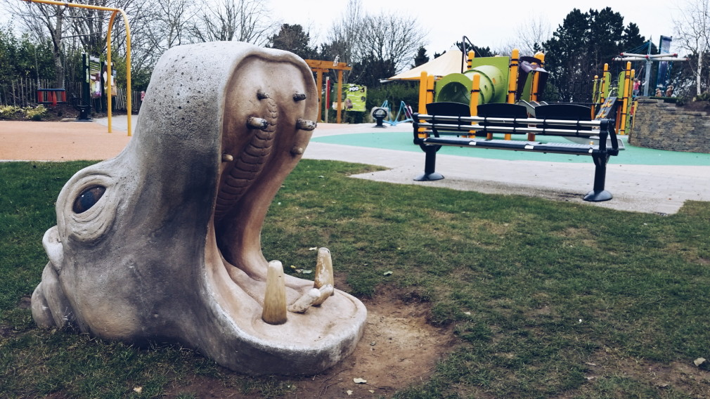 Visiting Belfast Zoo with the kids!
