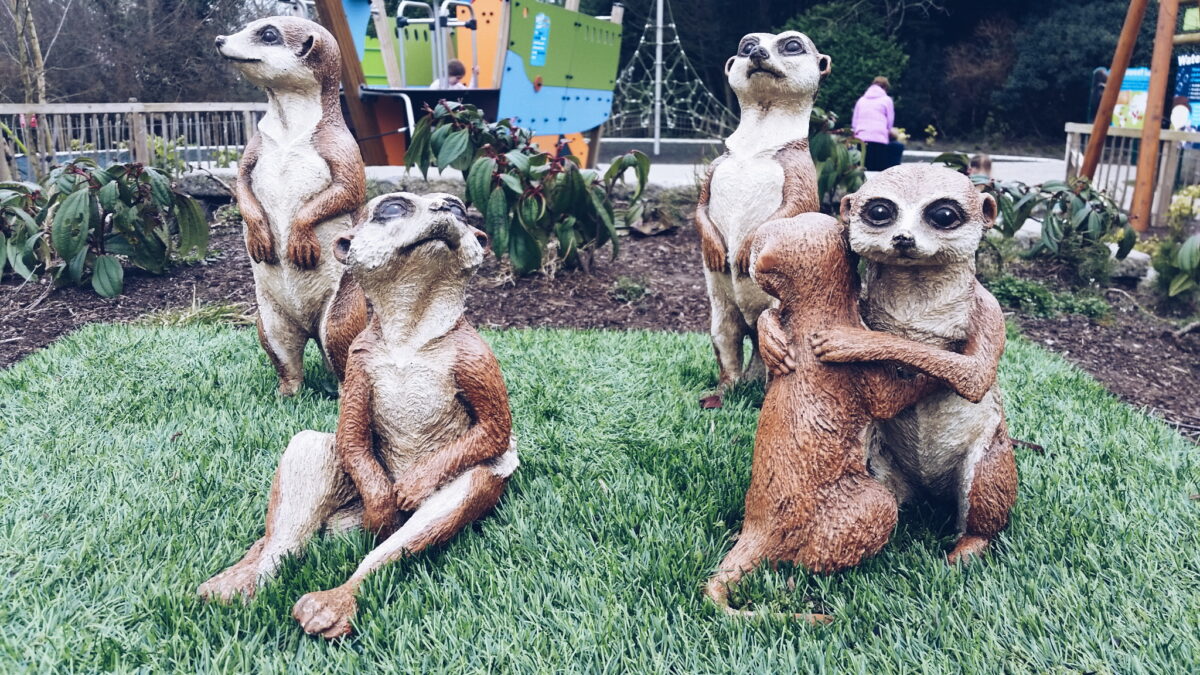 Belfast Zoo