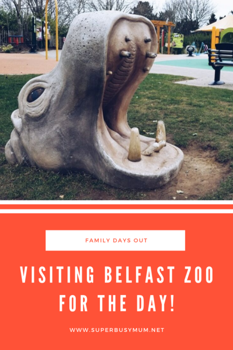 Belfast Zoo