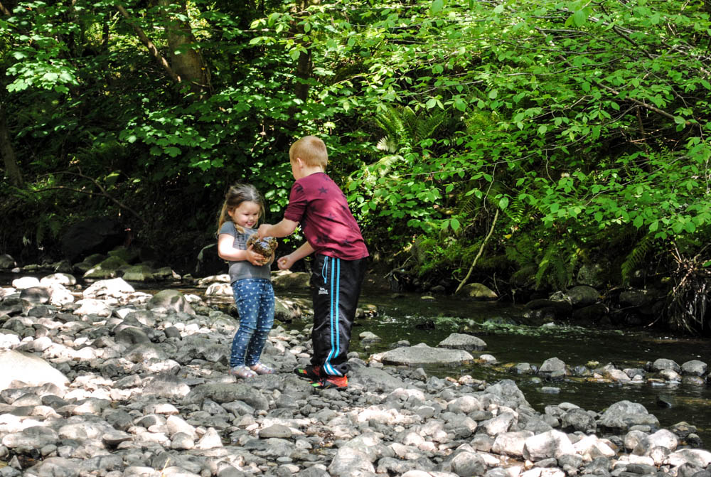 Siblings project in June