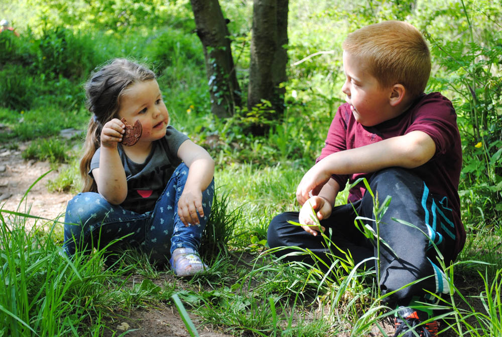 Siblings project in June