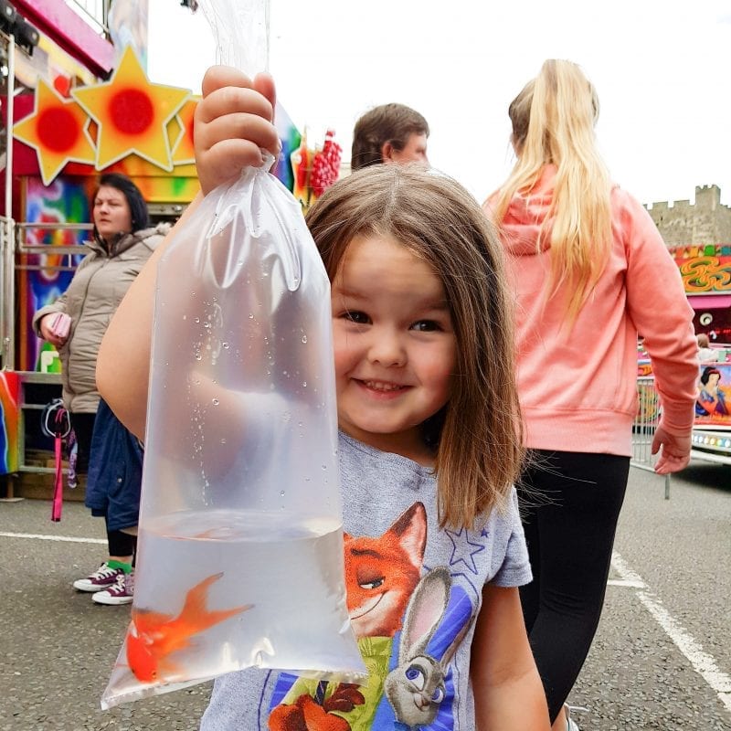 Hook the duck prize