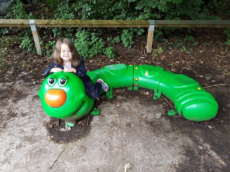 Go down to the deep dark wood and go hunting for the terrifying GRUFFALO! Click hrough for loads of fun photos of our Gruffalo adventure!