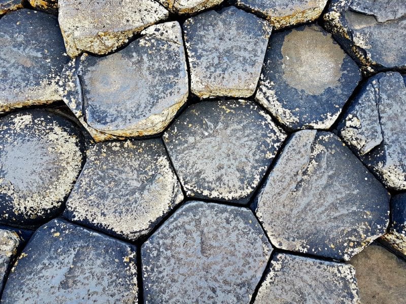 Click through to see more photos from our amazing day trip to Giants Causeway with National Trust NI!