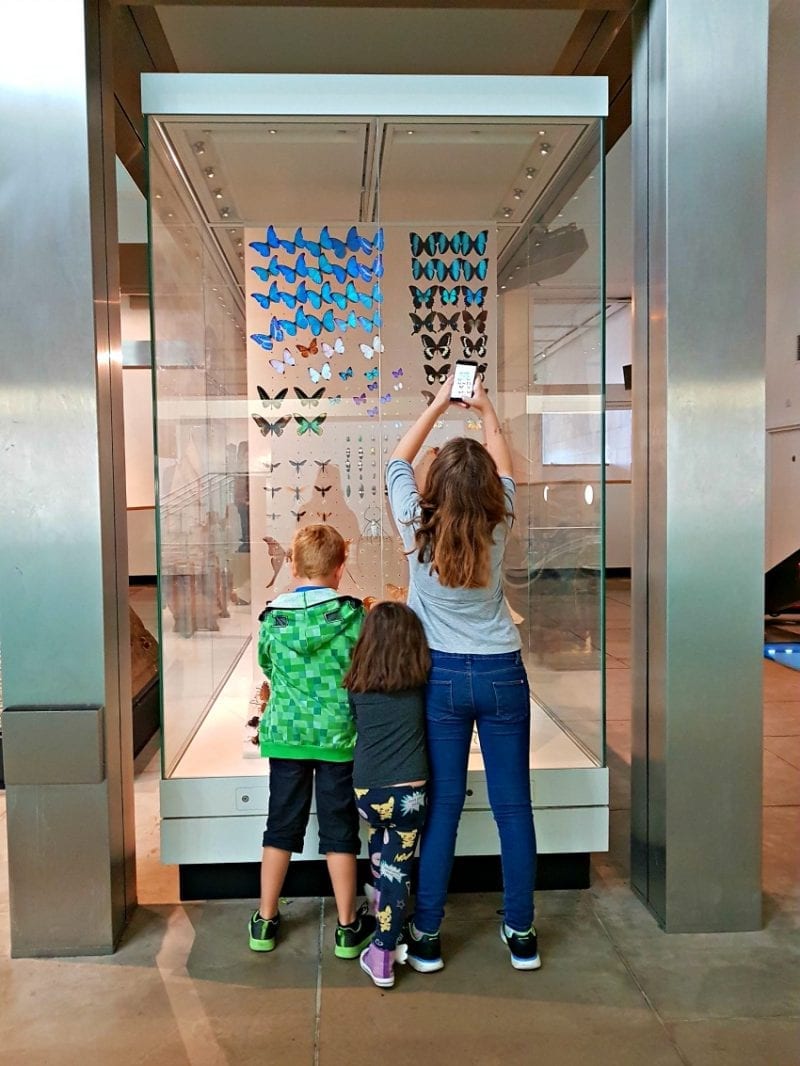 Click through to see more of our fun Summer adventures! 2