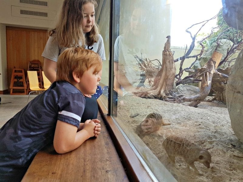 Click through to see more of our fun Summer adventures! 