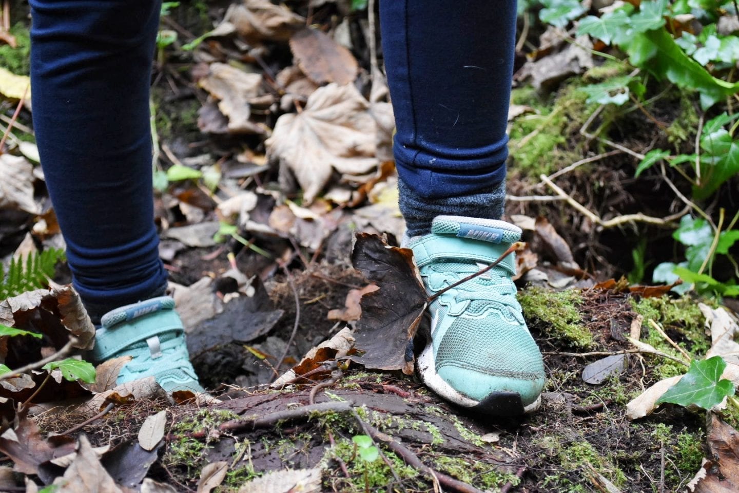 Autumn challenge