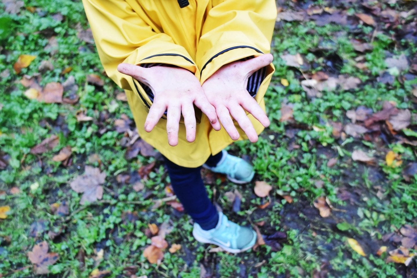 Autumn challenge