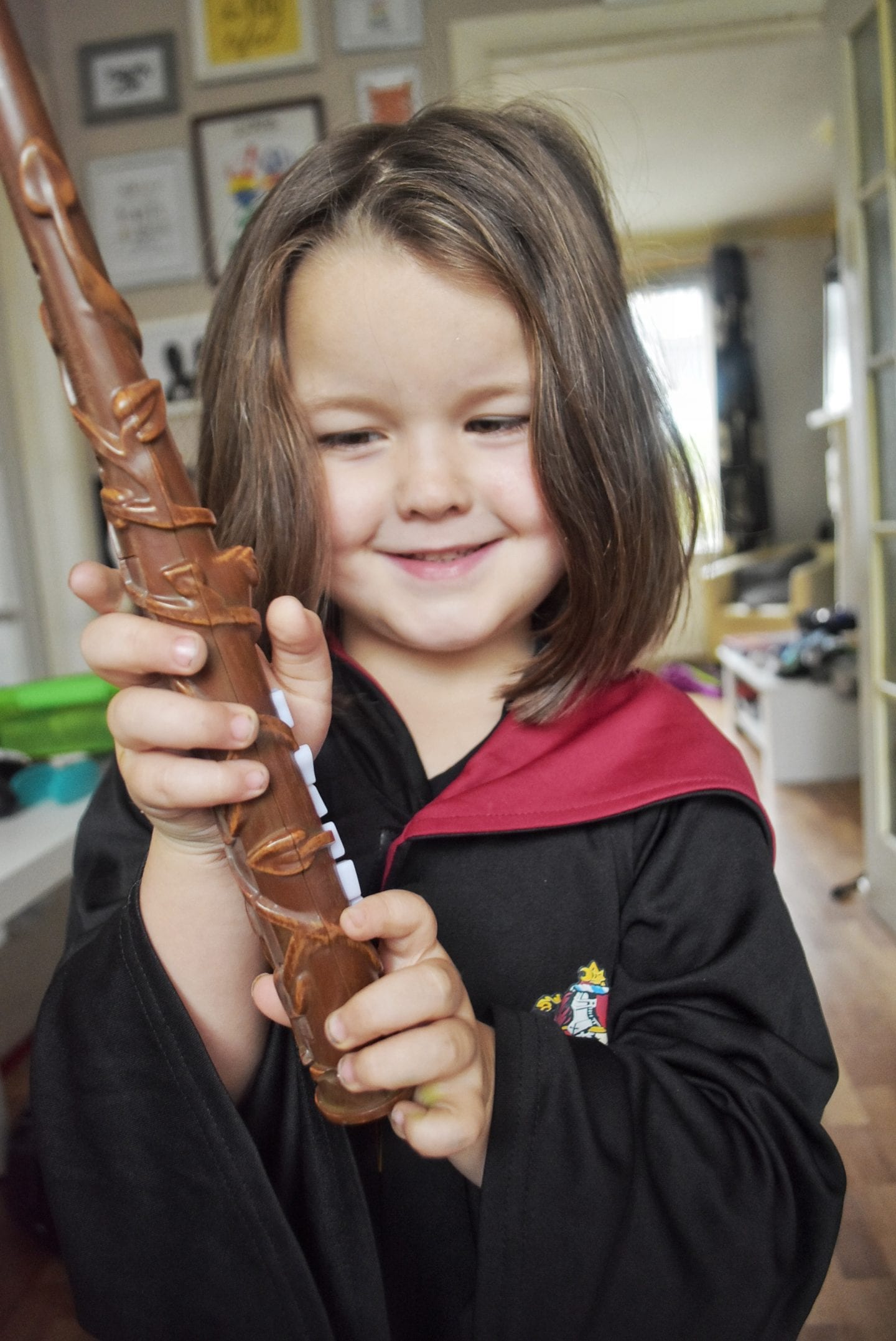 Harry Potter Wizard Training Wands
