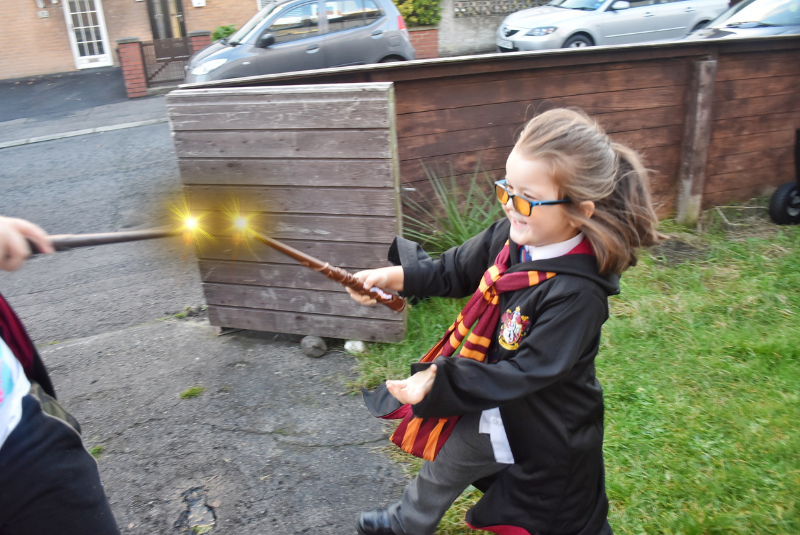 Harry Potter Wizard Training Wands