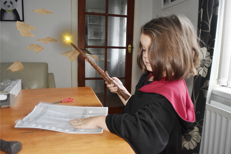 Harry Potter Wizard Training Wands
