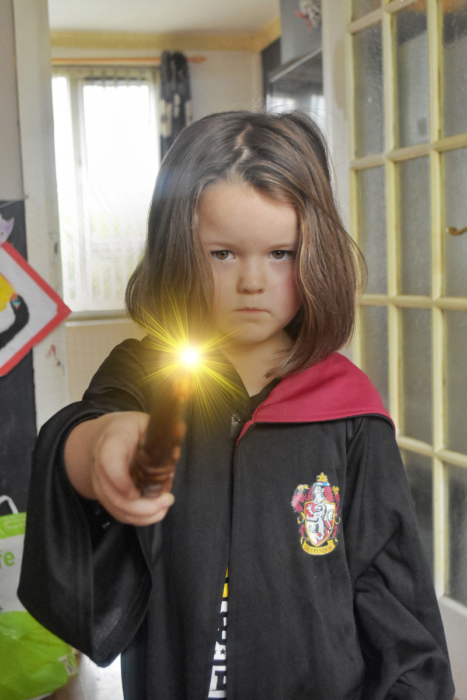Harry Potter Wizard Training Wands