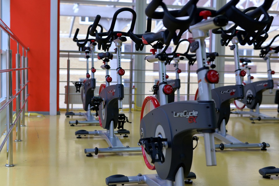 My gym workout routine