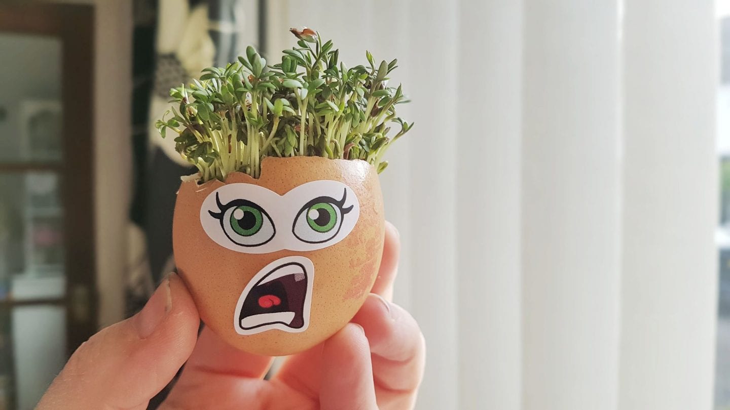 Spring crafts for kids