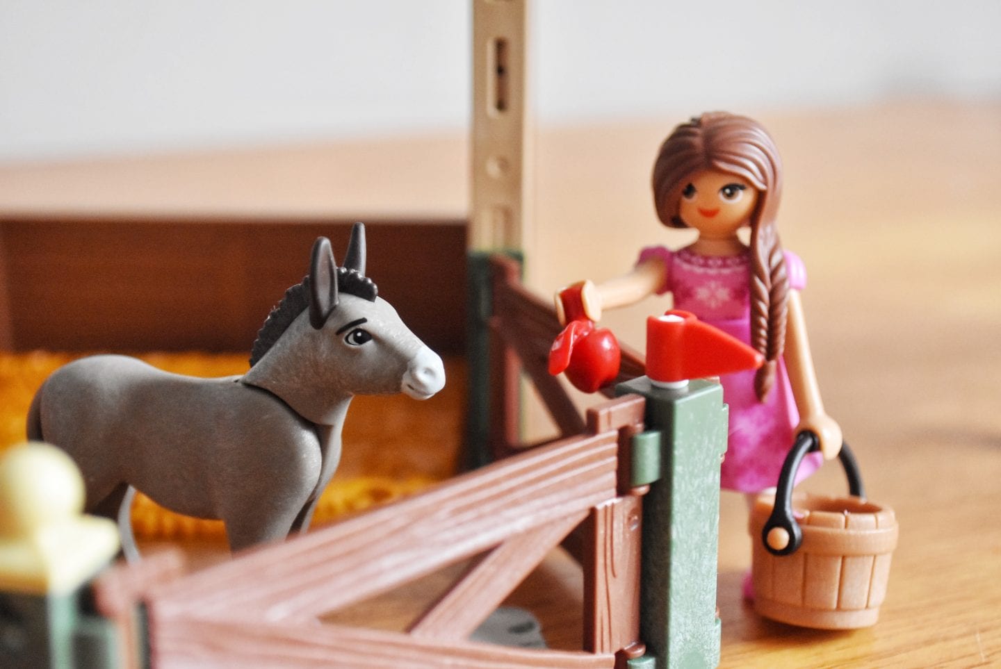 Girl giving a donkey an apple