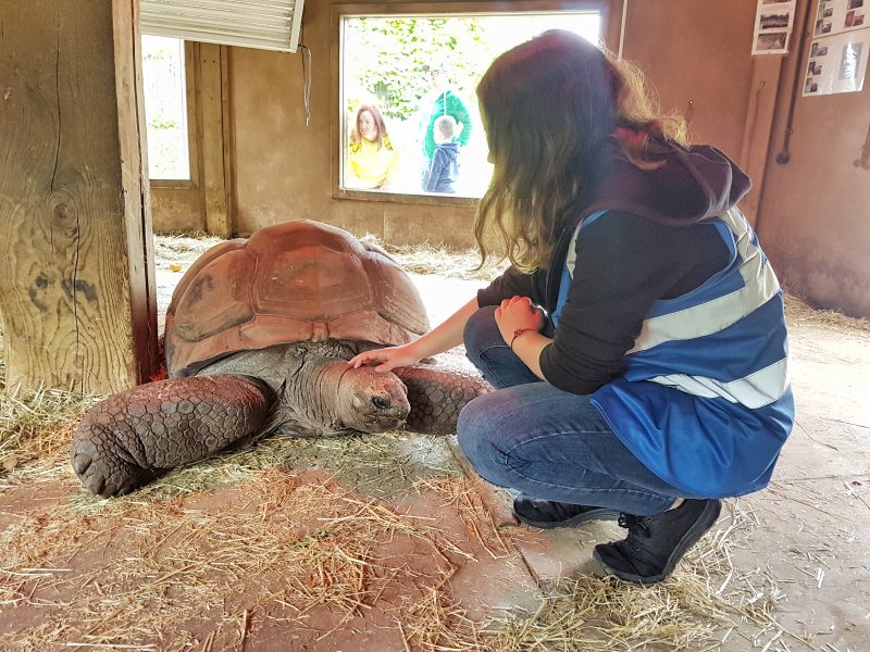 Animal experiences in Blackpool zoo