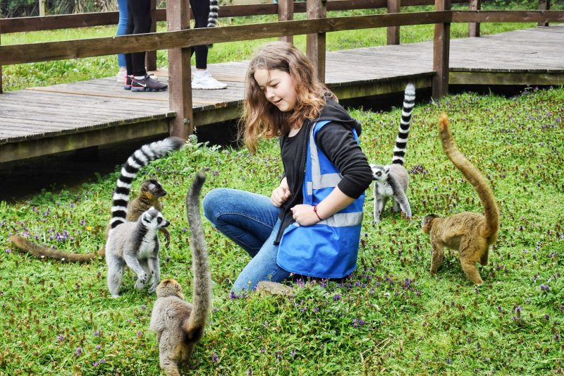 Blackpool zoo animal experiences