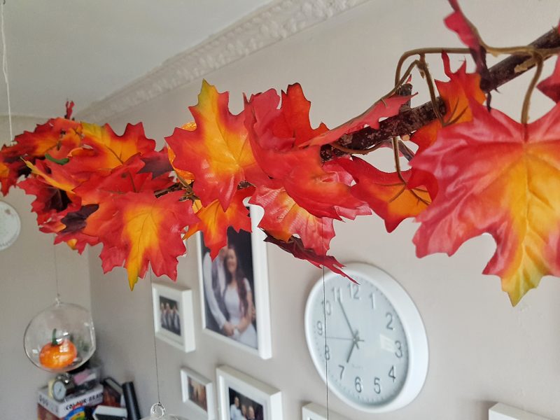 Autumn over the table branch