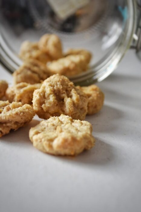 Homemade chicken and cranberry cat treats