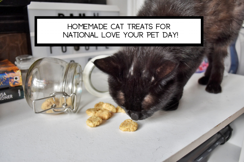 Homemade Cat treats for National Love your Pet day!