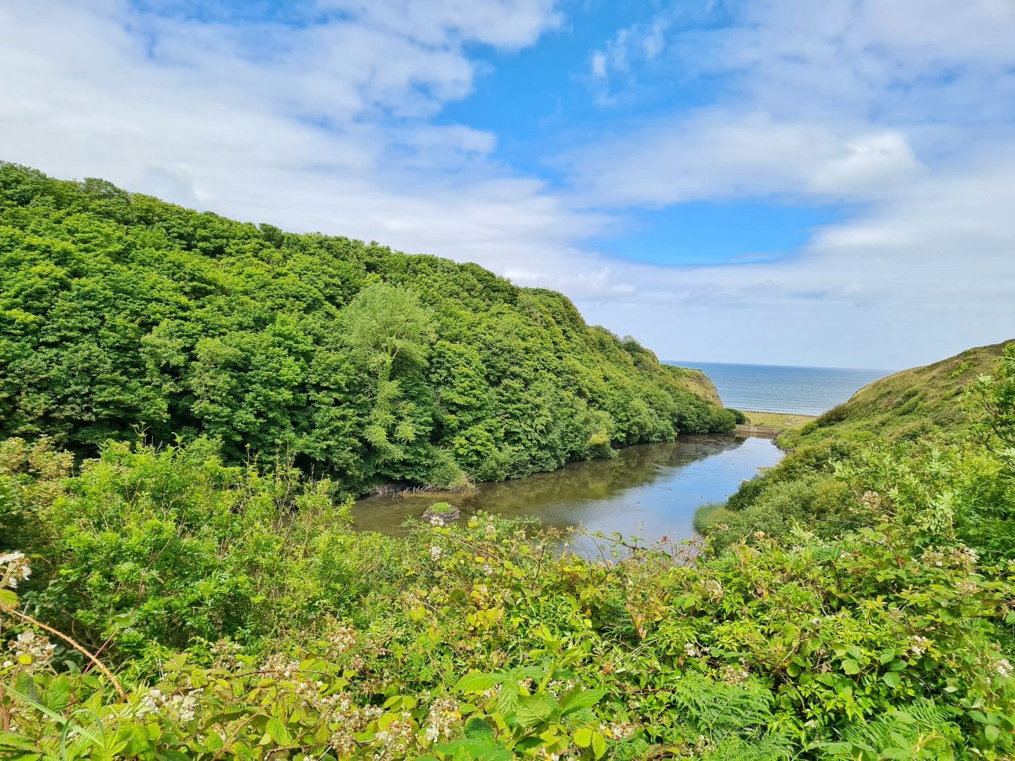 The Lake in Downhill Forest, Northern Ireland