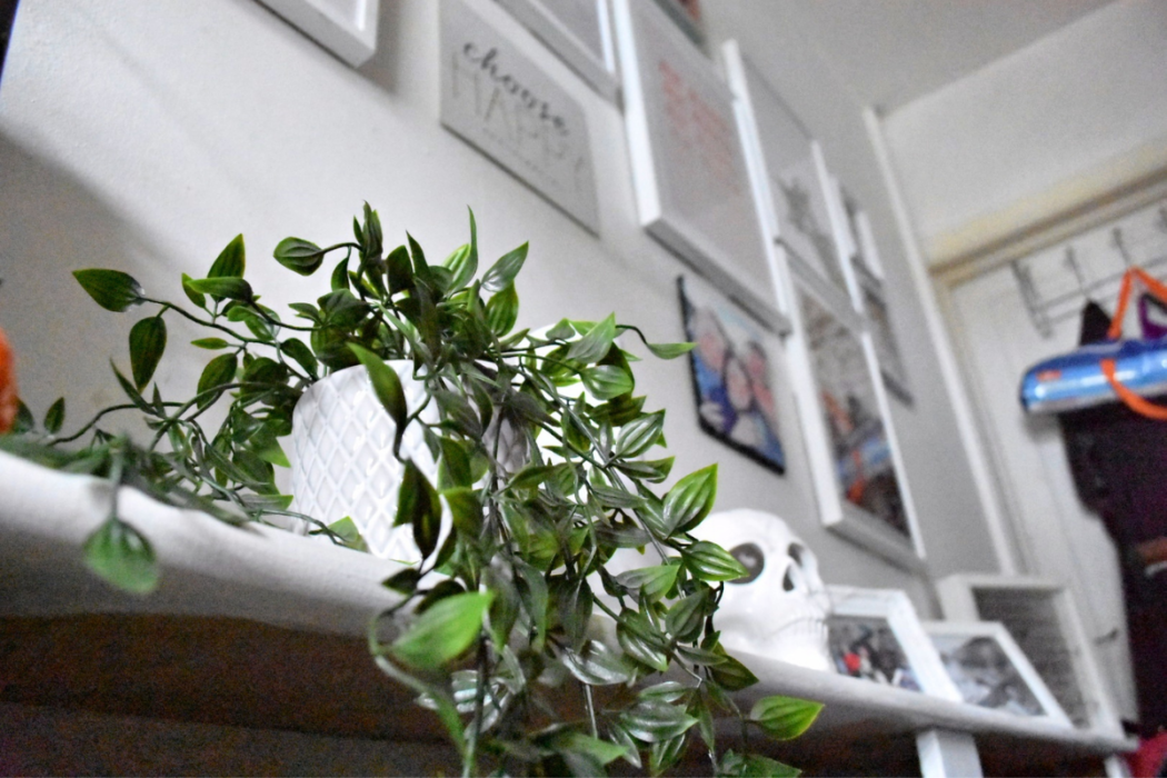 Desenio Wall Art Review