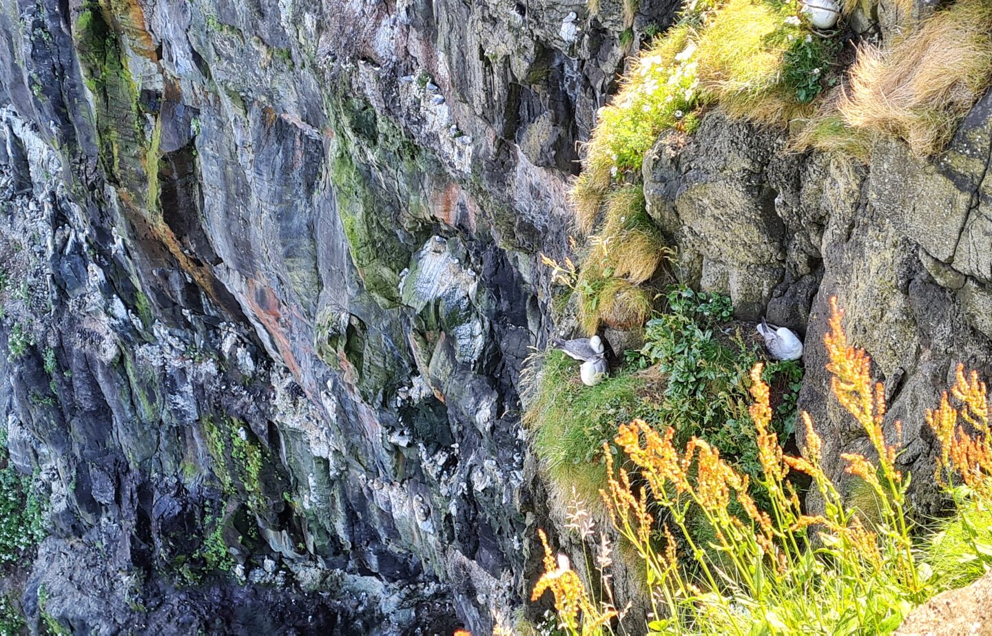 Places to visit on Rathlin Island