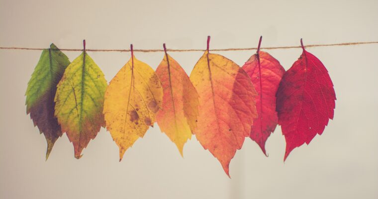 10 Autumn Templates for Instagram Stories