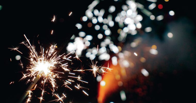 5 ways to help keep your pets calm during Bonfire Night.