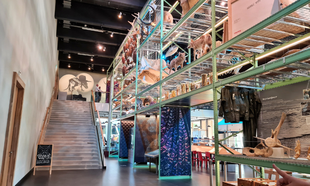 Naturalis, Holland