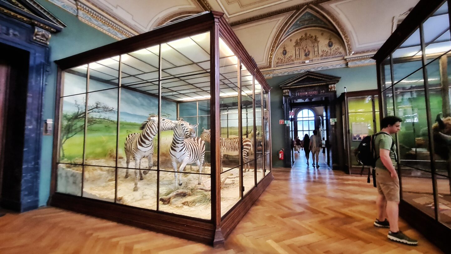 Places to visit in Vienna