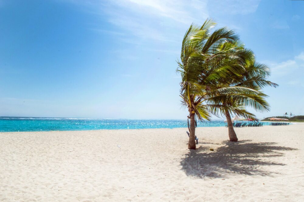 The Vero Beach Experience Provides Relaxation and Stimulation