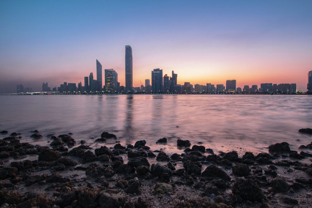 Palace Residences – North. Investment project
