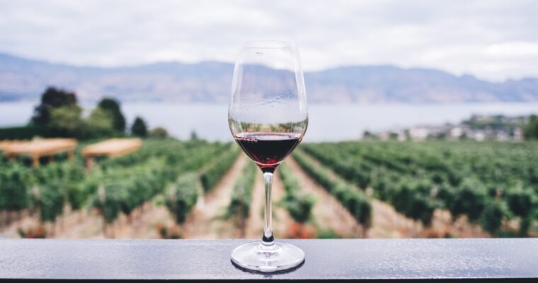 6 Tips for Planning Your Perfect Wine Tasting Getaway