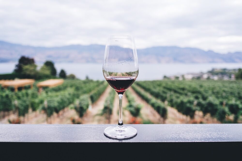 6 Tips for Planning Your Perfect Wine Tasting Getaway