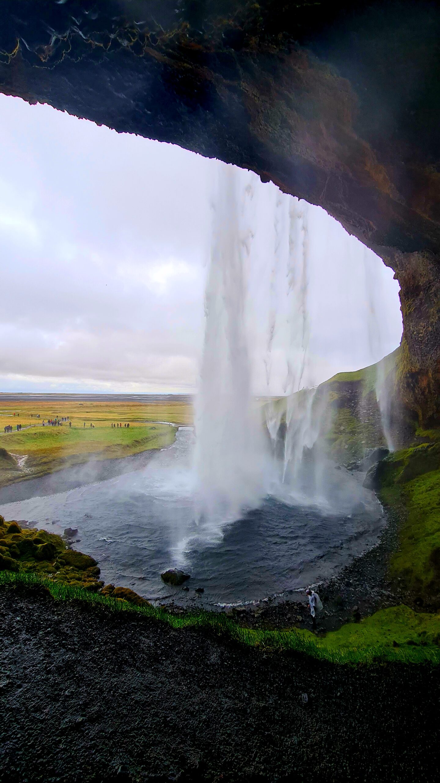 Bus tours, Iceland