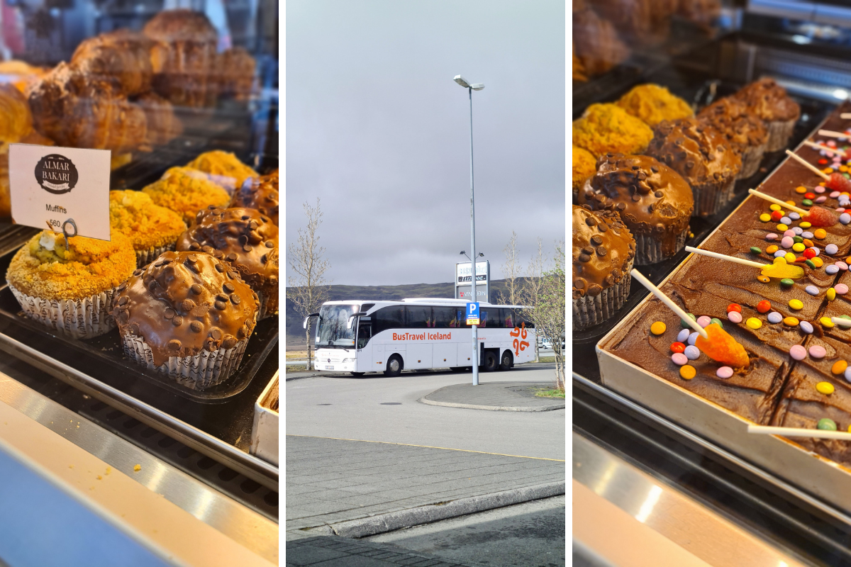 Golden circle bus tour