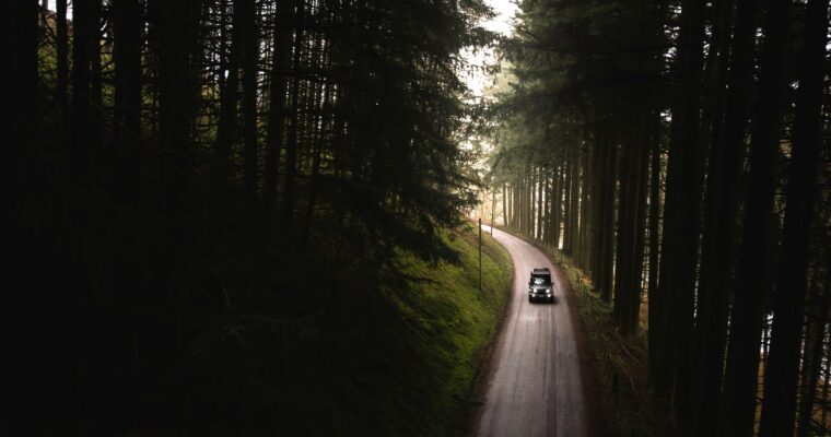 Surviving Long Car Journeys with Kids: A Parent’s Guide