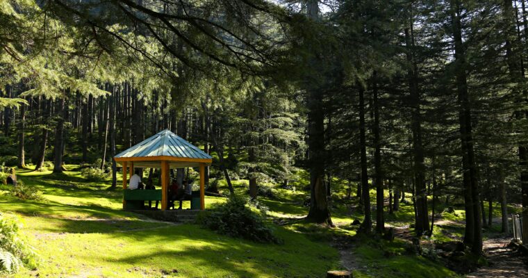 Why Branded Gazebos Are Essential For Outdoor Promotions