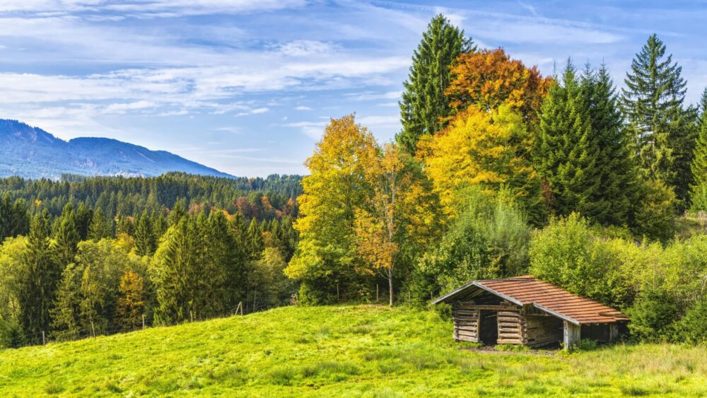 5 Tips for Planning an Extended Stay in a Park Model Cabin