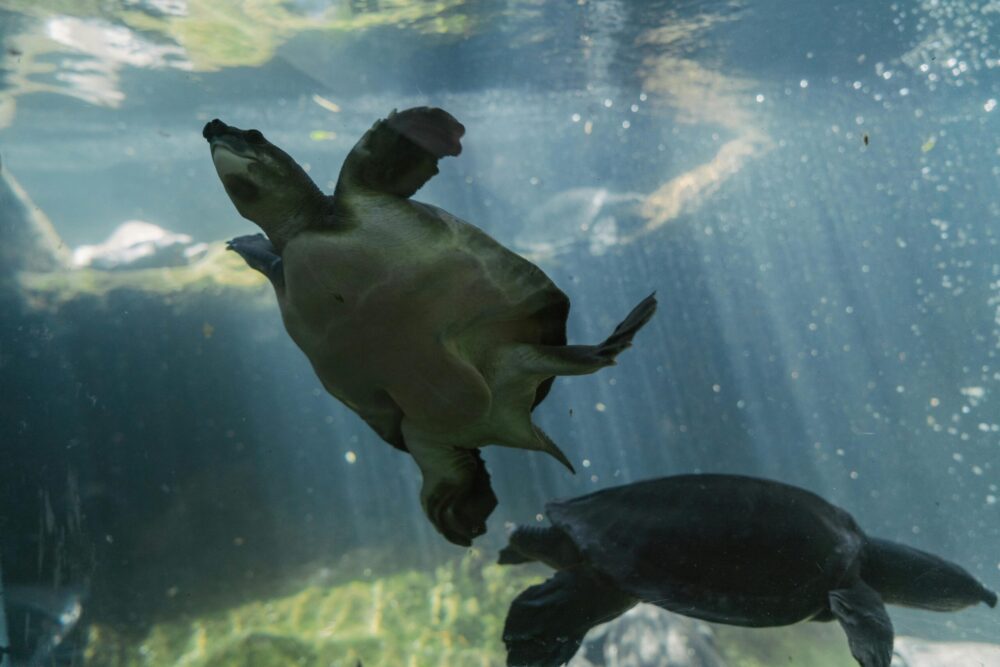 15 Unique Attractions to Visit in Florida Beyond the Theme Parks