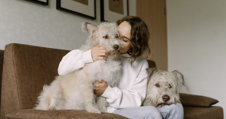 4 Tips for Effective Pet Care at Home: A Guide for First-Time Owners