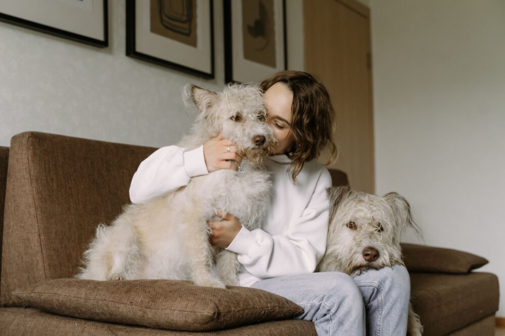 4 Tips for Effective Pet Care at Home: A Guide for First-Time Owners
